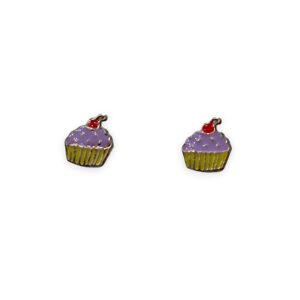 925 Silver Earrings